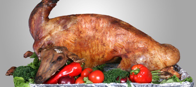 Доставка еды «Kozu grill» Доставка еды «Kozu grill»